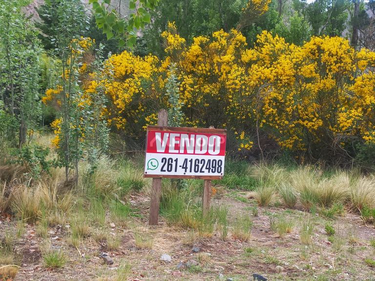 Lote en Venta en Lujan de Cuyo, Mendoza