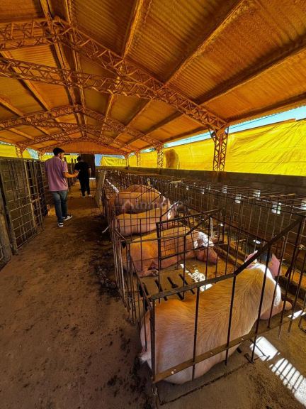 Campo en Venta en General Pedernera, San Luis