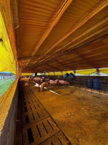 Campo en Venta en General Pedernera, San Luis