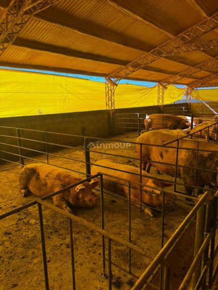 Campo en Venta en General Pedernera, San Luis