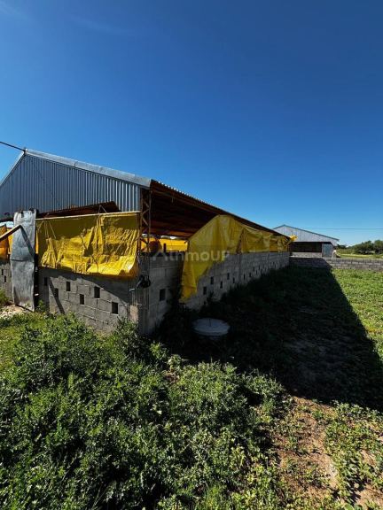 Campo en Venta en General Pedernera, San Luis