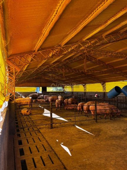 Campo en Venta en General Pedernera, San Luis