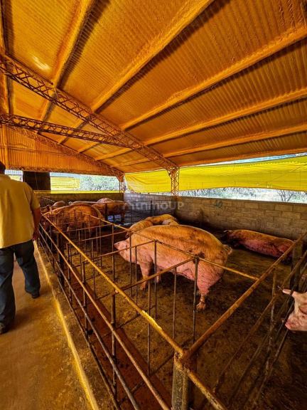 Campo en Venta en General Pedernera, San Luis