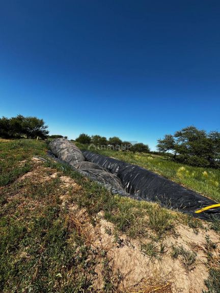 Campo en Venta en General Pedernera, San Luis