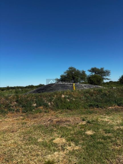 Campo en Venta en General Pedernera, San Luis