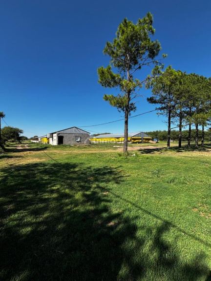Campo en Venta en General Pedernera, San Luis
