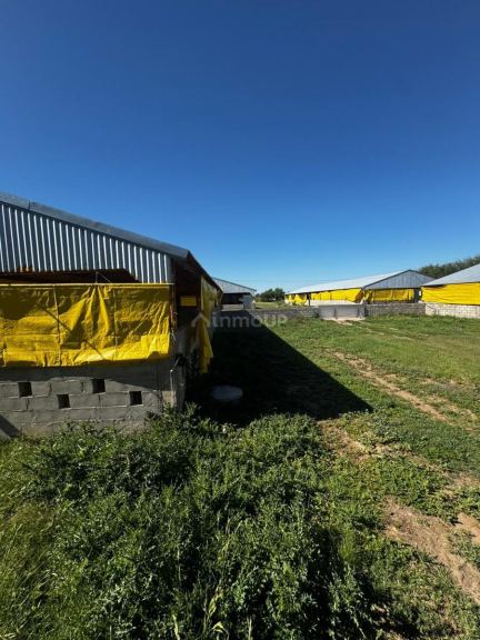 Campo en Venta en General Pedernera, San Luis