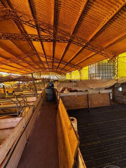 Campo en Venta en General Pedernera, San Luis