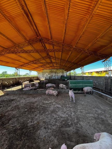 Campo en Venta en General Pedernera, San Luis