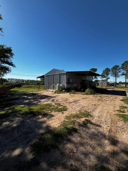 Campo en Venta en General Pedernera, San Luis