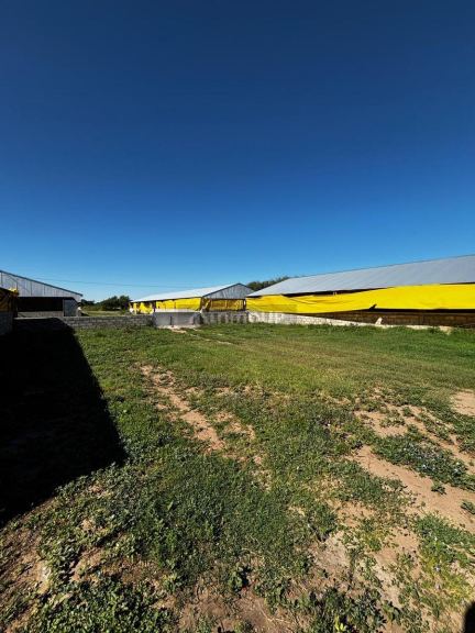 Campo en Venta en General Pedernera, San Luis