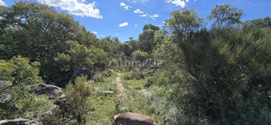 Terreno en Venta en Santa Maria, Cordoba
