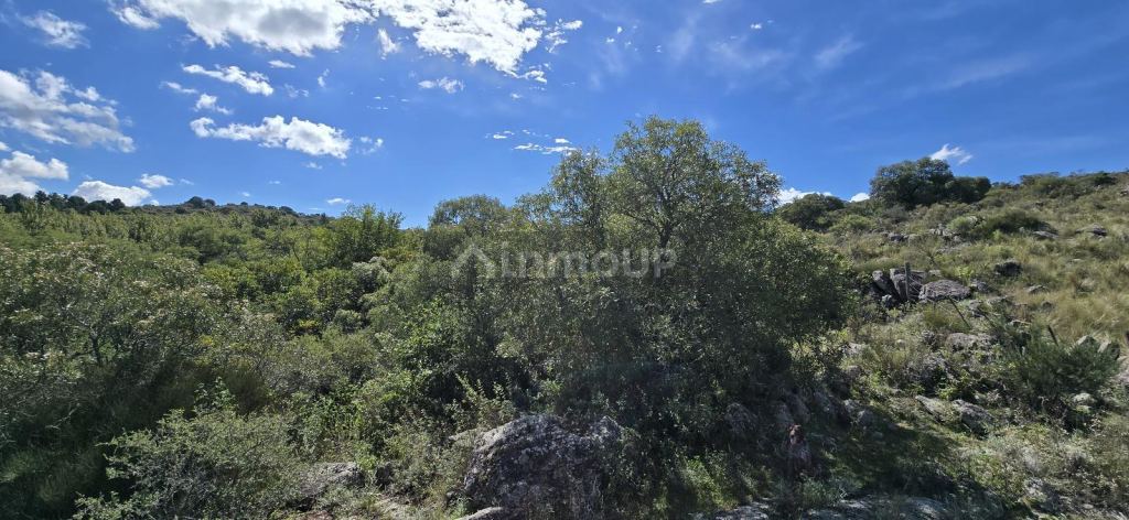 Terreno en Venta en Santa Maria, Cordoba