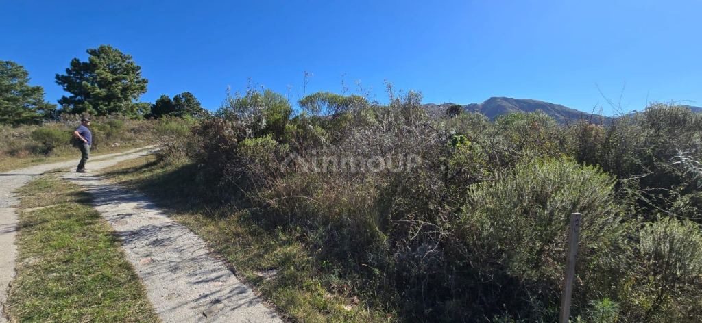 Terreno en Venta en Santa Maria, Cordoba