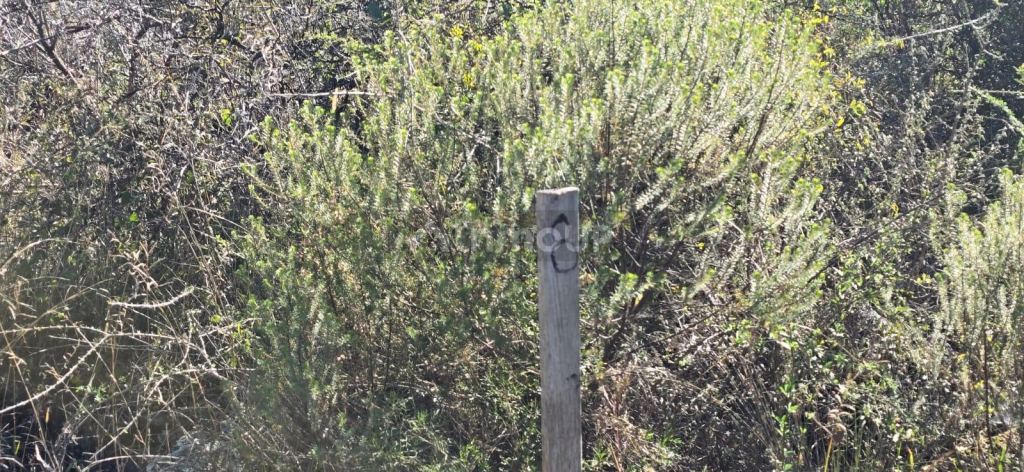 Terreno en Venta en Santa Maria, Cordoba