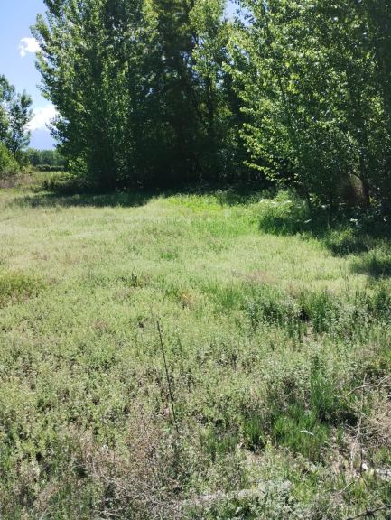 Lote en Venta en San Carlos, Mendoza