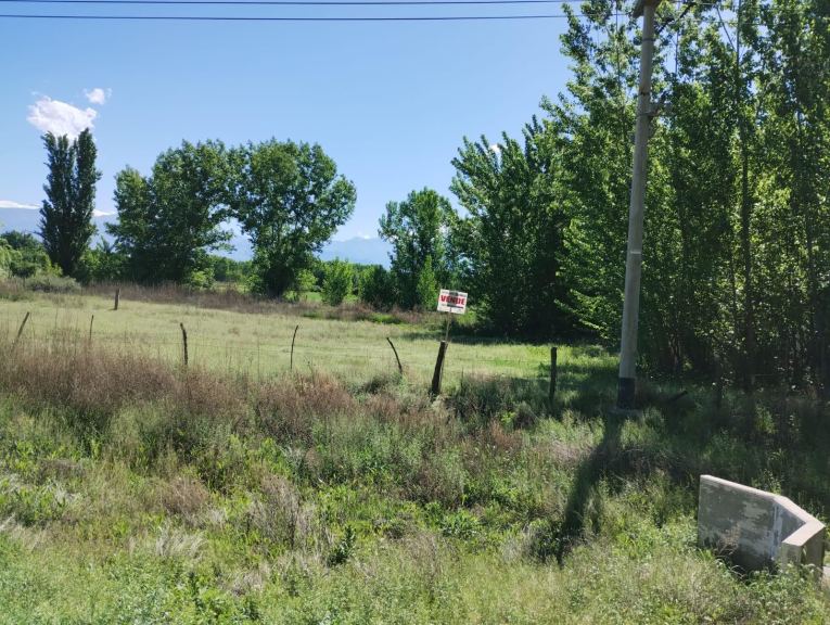 Lote en Venta en San Carlos, Mendoza