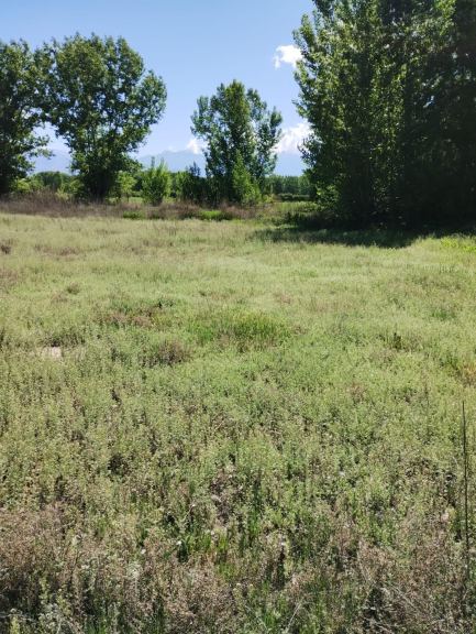 Lote en Venta en San Carlos, Mendoza