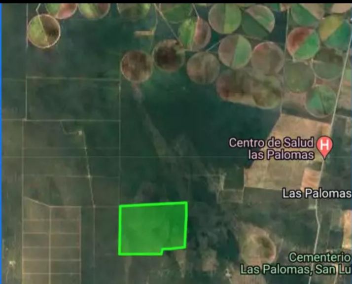 Campo en Venta en Junin, San Luis