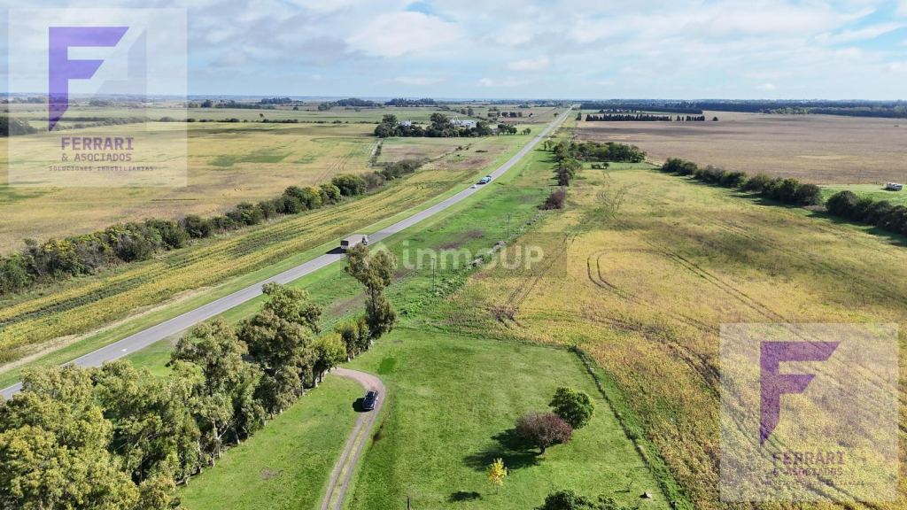 Campo en Venta en Baradero, Buenos Aires Interior
