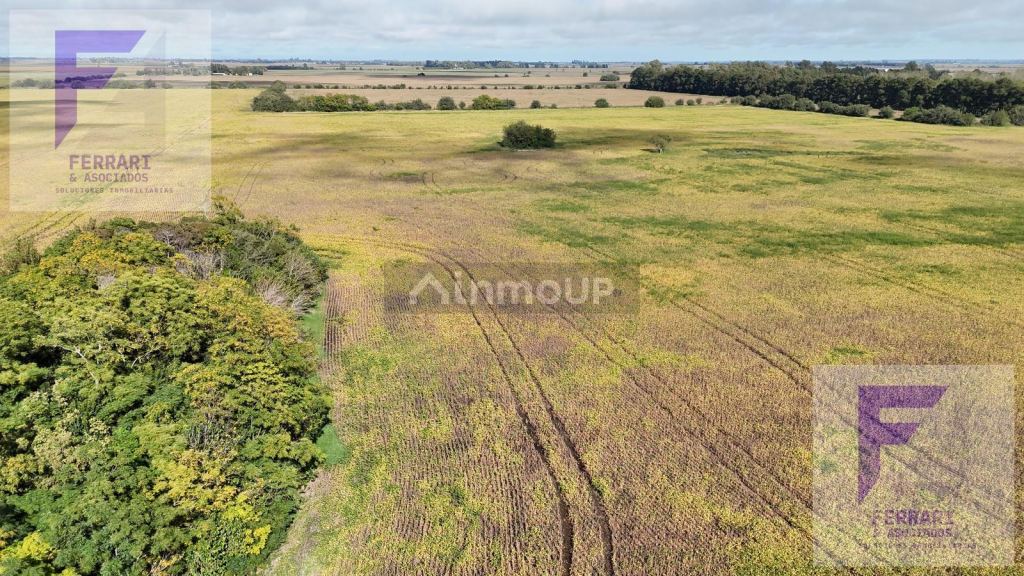Campo en Venta en Baradero, Buenos Aires Interior