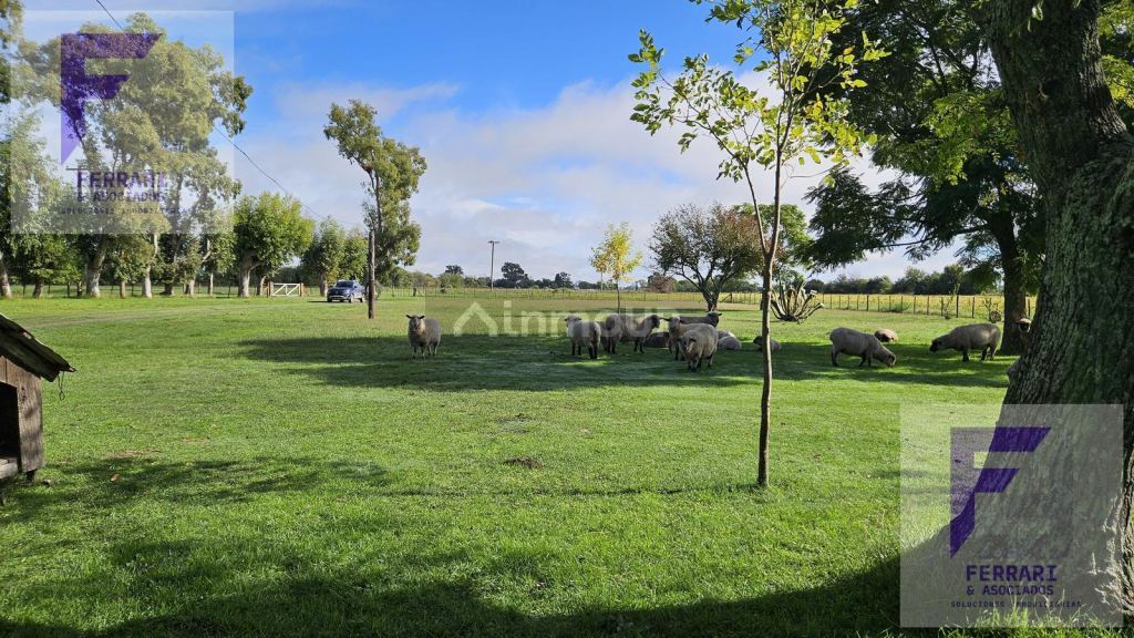Campo en Venta en Baradero, Buenos Aires Interior