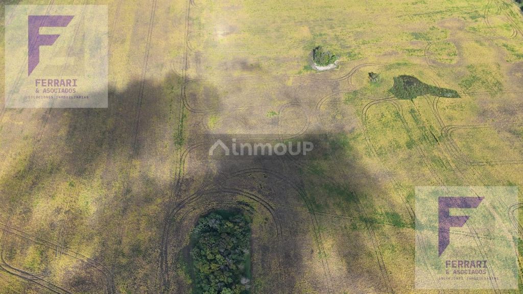 Campo en Venta en Baradero, Buenos Aires Interior