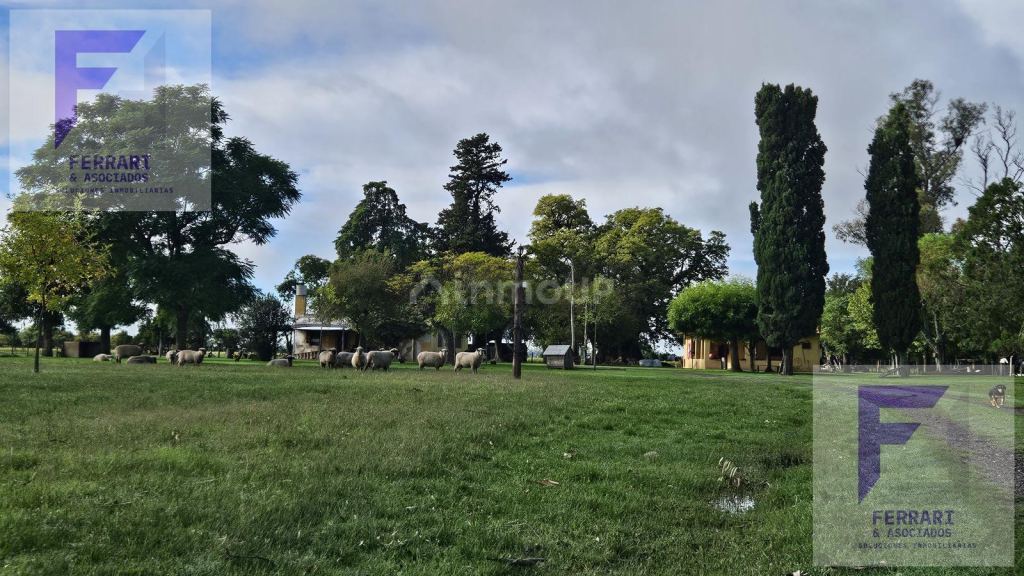 Campo en Venta en Baradero, Buenos Aires Interior