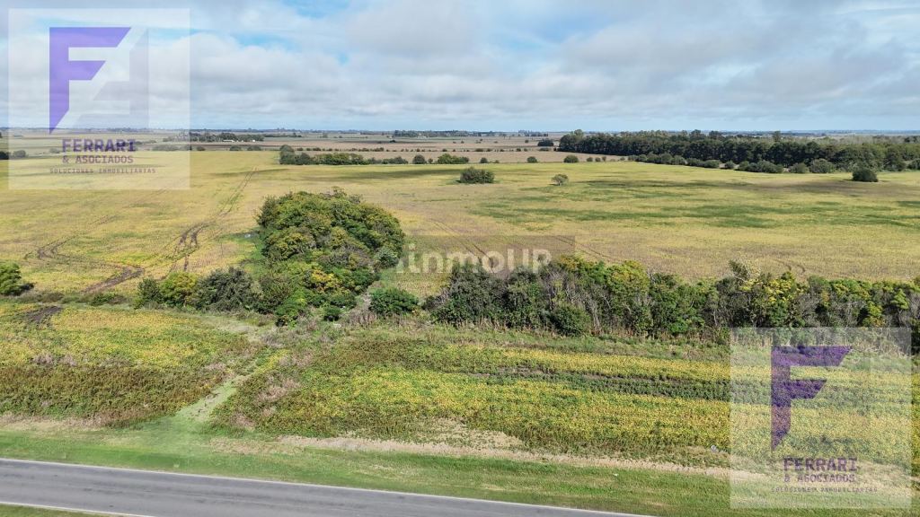 Campo en Venta en Baradero, Buenos Aires Interior