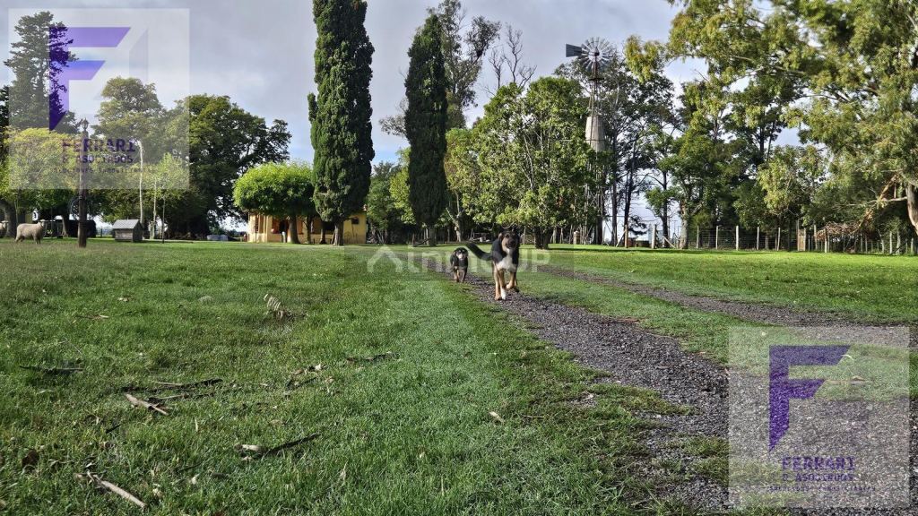 Campo en Venta en Baradero, Buenos Aires Interior