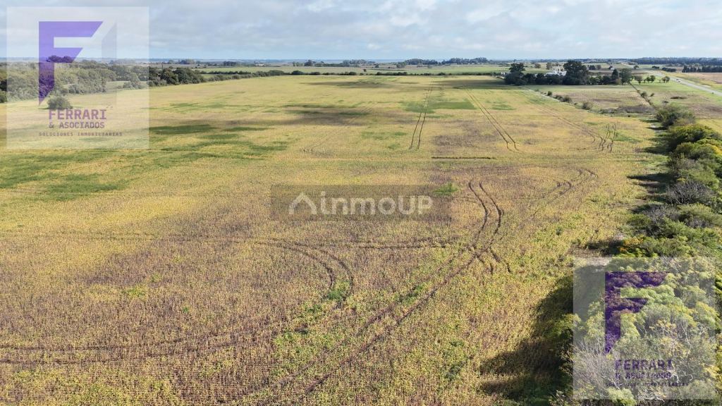Campo en Venta en Baradero, Buenos Aires Interior
