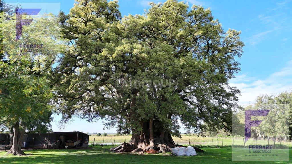 Campo en Venta en Baradero, Buenos Aires Interior