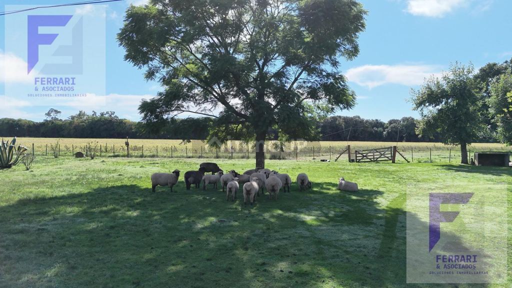 Campo en Venta en Baradero, Buenos Aires Interior