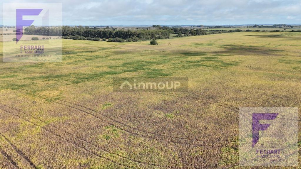 Campo en Venta en Baradero, Buenos Aires Interior