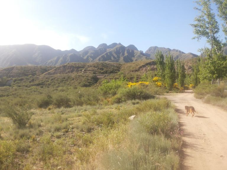 Lote en Venta en Lujan de Cuyo, Mendoza