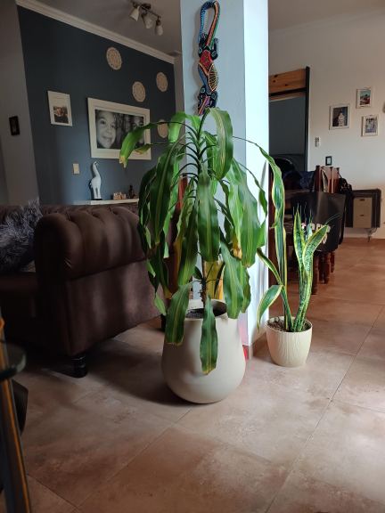 Casa en Venta en Las Heras, Mendoza