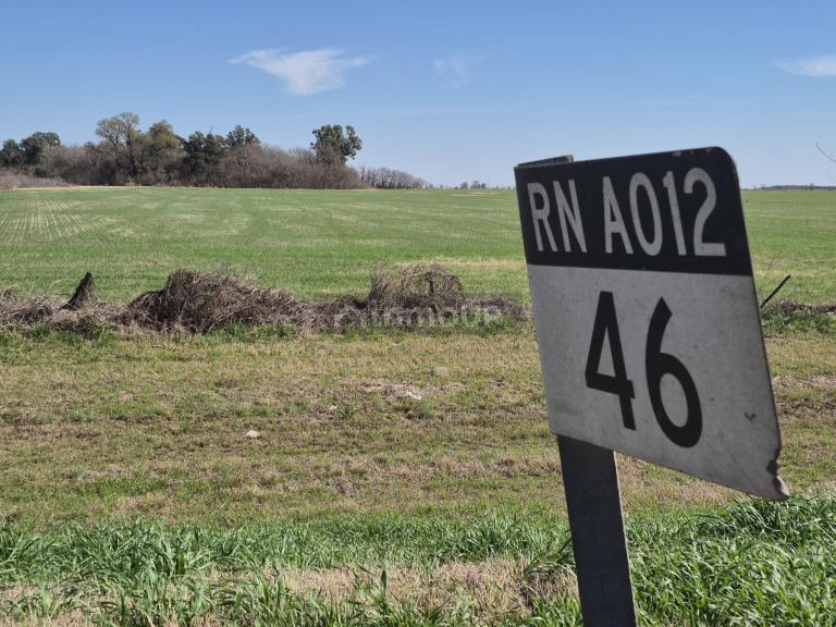 Campo en Venta en Roldán, Santa Fe