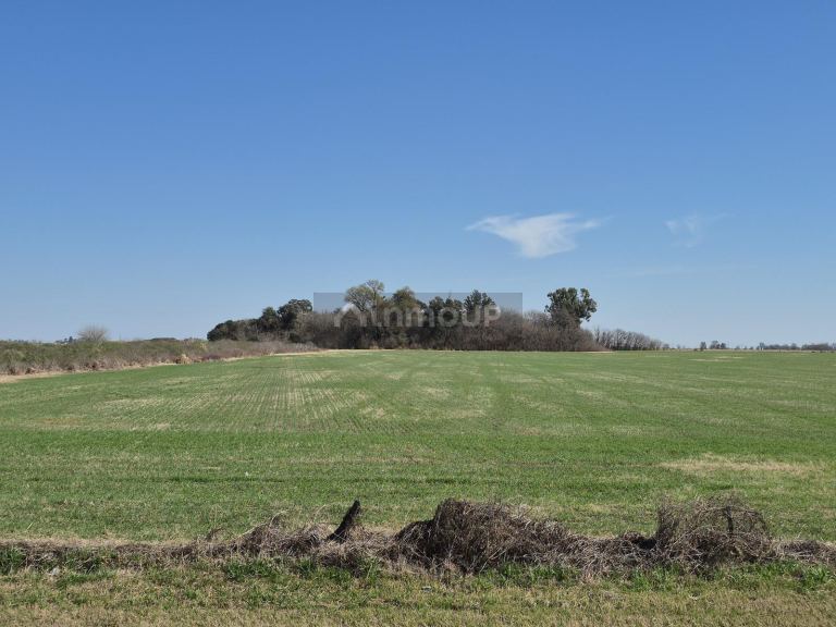 Campo en Venta en Roldán, Santa Fe