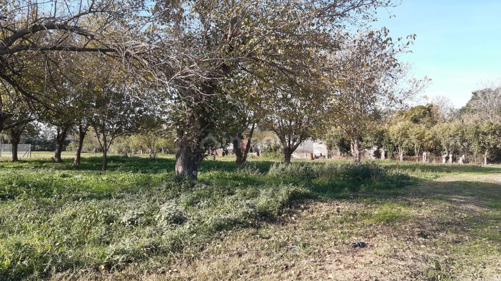 Terreno en Venta en Iriondo, Santa Fe