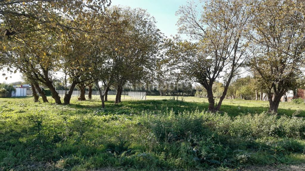 Terreno en Venta en Iriondo, Santa Fe