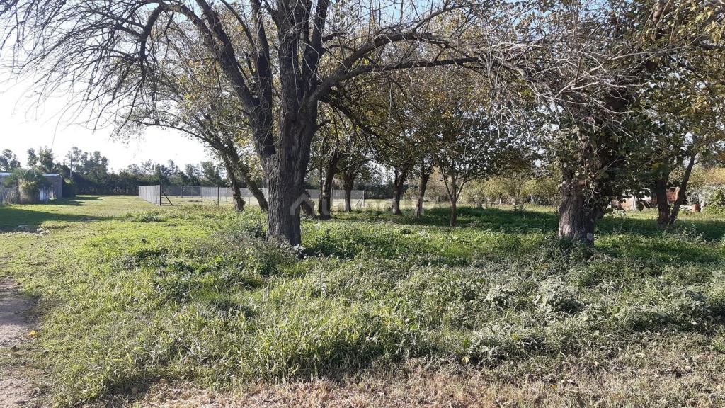 Terreno en Venta en Iriondo, Santa Fe