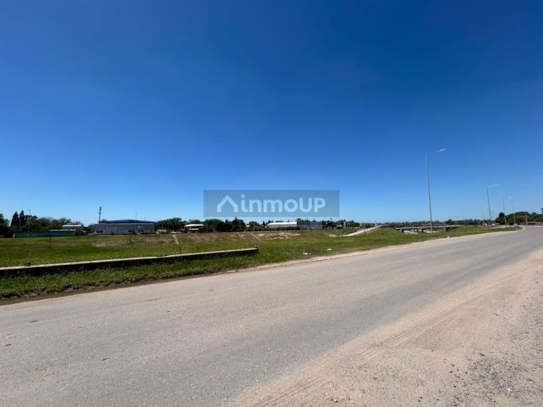 Local Comercial en Alquiler en Capital, Cordoba