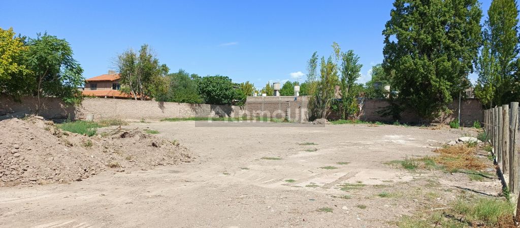 Terreno en Alquiler en Lujan de Cuyo, Mendoza