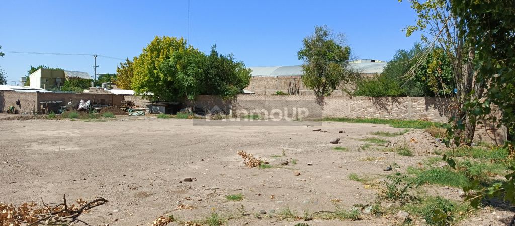 Terreno en Alquiler en Lujan de Cuyo, Mendoza