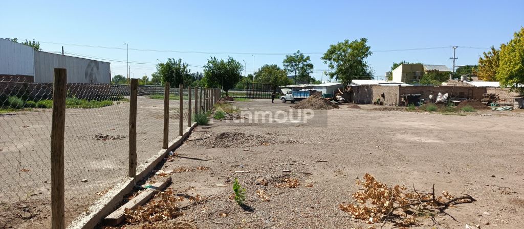 Terreno en Alquiler en Lujan de Cuyo, Mendoza