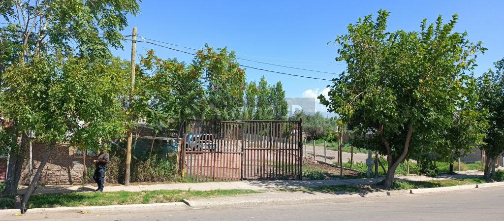Terreno en Alquiler en Lujan de Cuyo, Mendoza