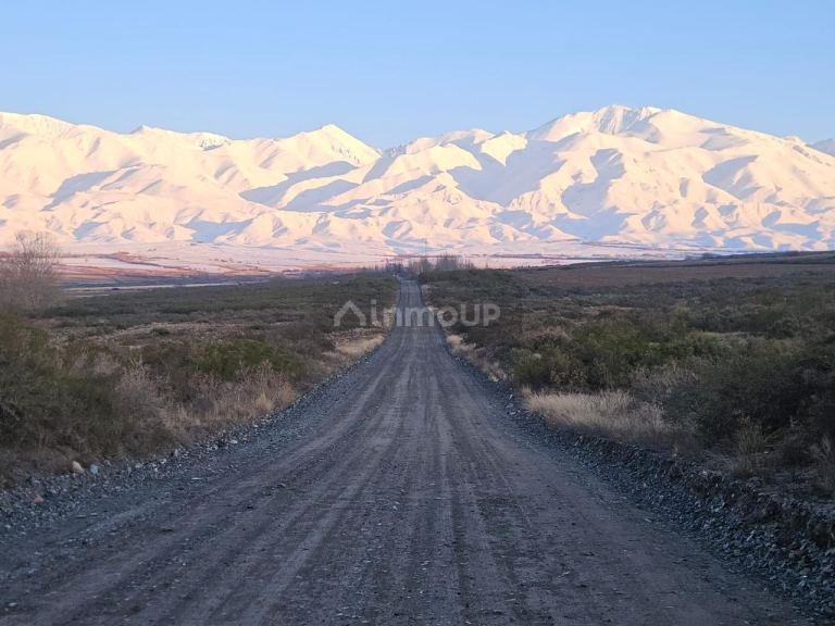 Lote en Venta en Tupungato, Mendoza