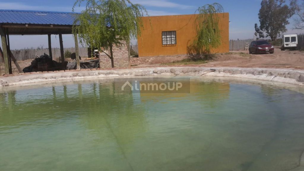 Guaymallen Milagro 9510, Guaymallén