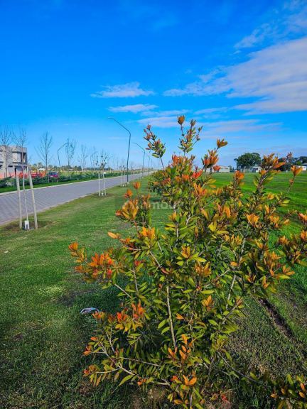 Terreno en Venta en Rosario, Santa Fe