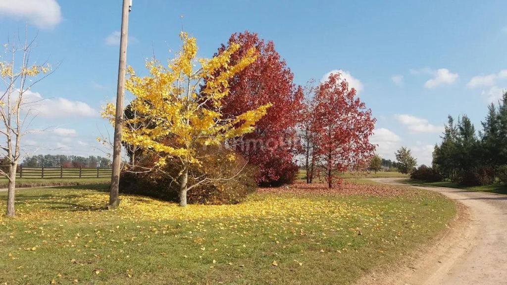 Terreno en Venta en Lujan, G.B.A. Zona Oeste